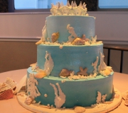 pa.Cake