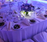 Extensive Set-Up with Lighting