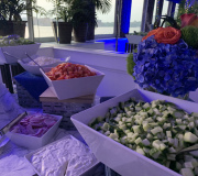 Gyro Bar
