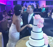 Cake Cutting
